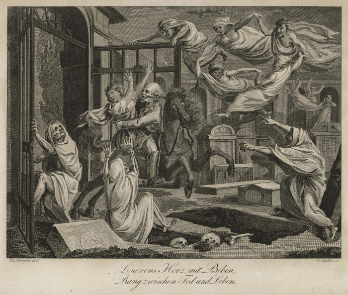 lenore_tomaschek_klein_1805