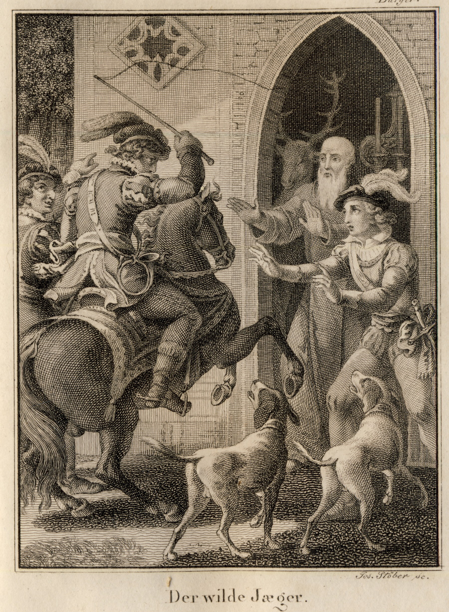 stoeber_mausberger_wild